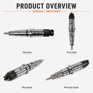 5289266 Fuel Injector